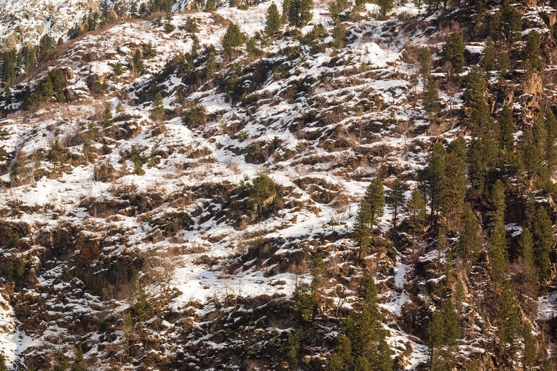 Wanderlust Image